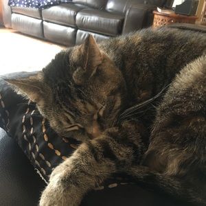 Meet your Posher, Imogen